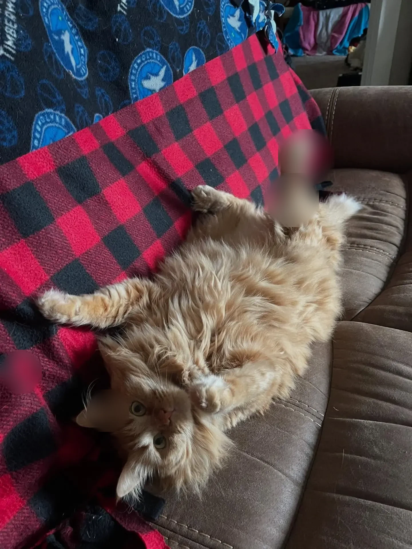 Photo de Kenza, femme trans à Limoges