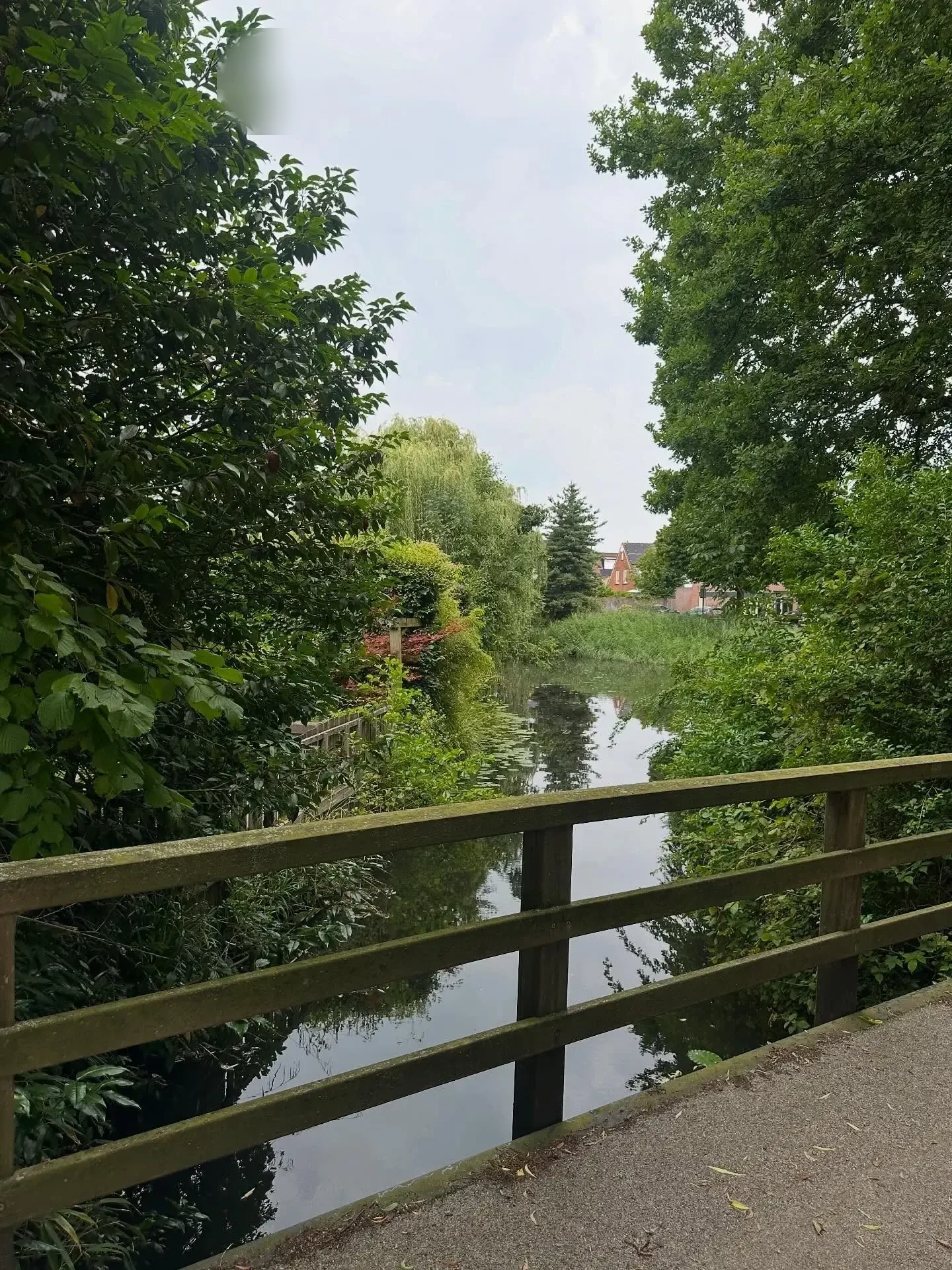 Photo de Louise, femme trans à Guérande