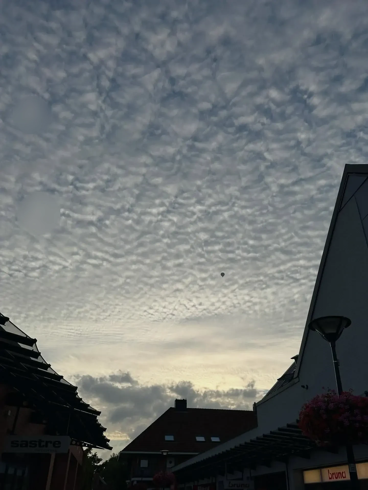 Louise à Guérande - galerie photo 4